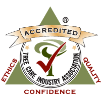 accredited