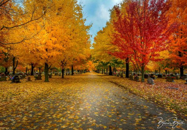 Arkansas-Fall-Colors_Maplewood-Cemetery-Harrison_©Blair-Ball-Photography-1