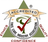 tcia certified