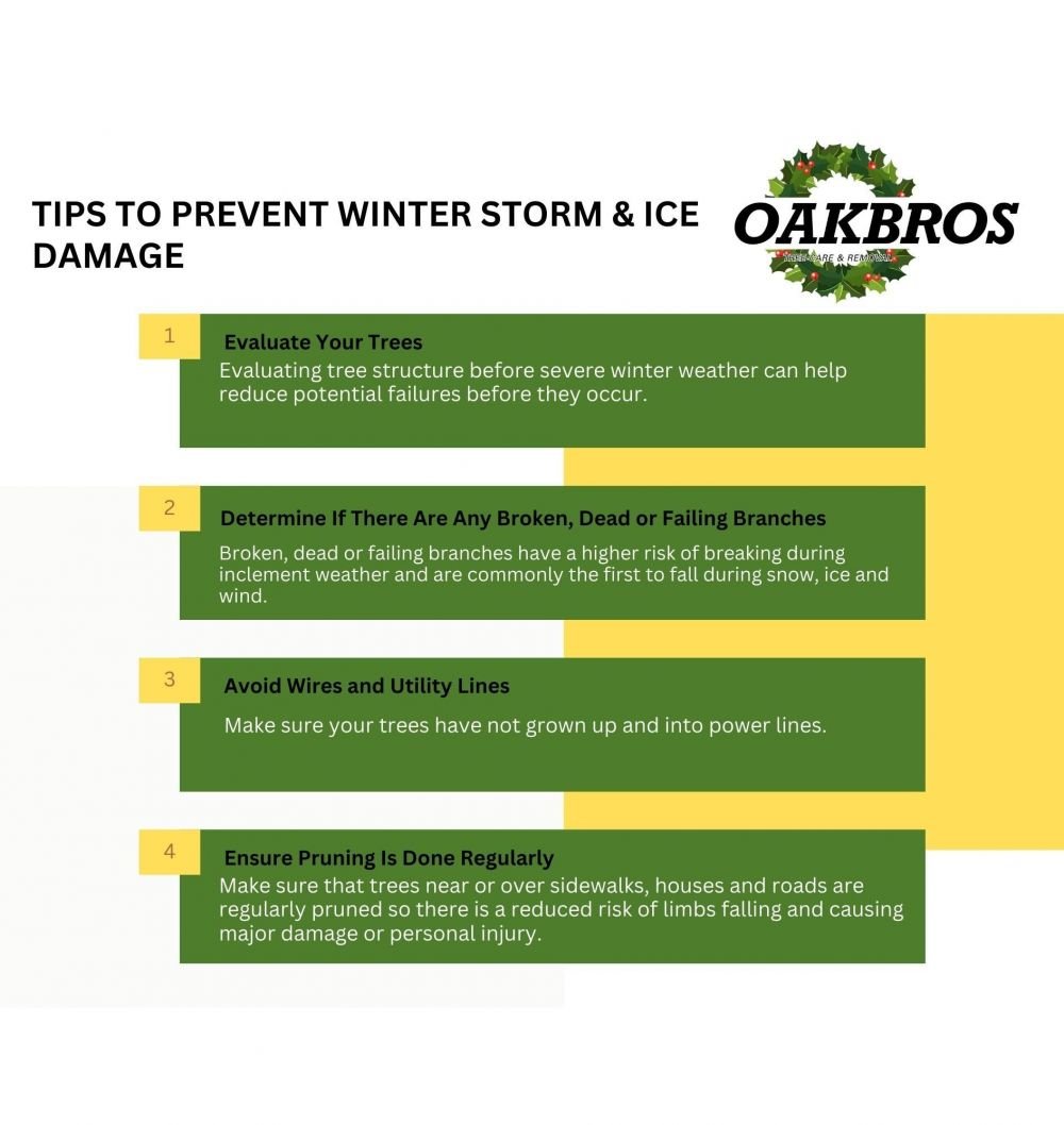 Prevent Storm and Ice  Damage