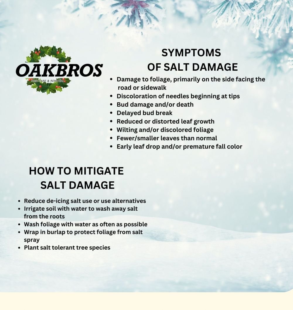 Salt Damage