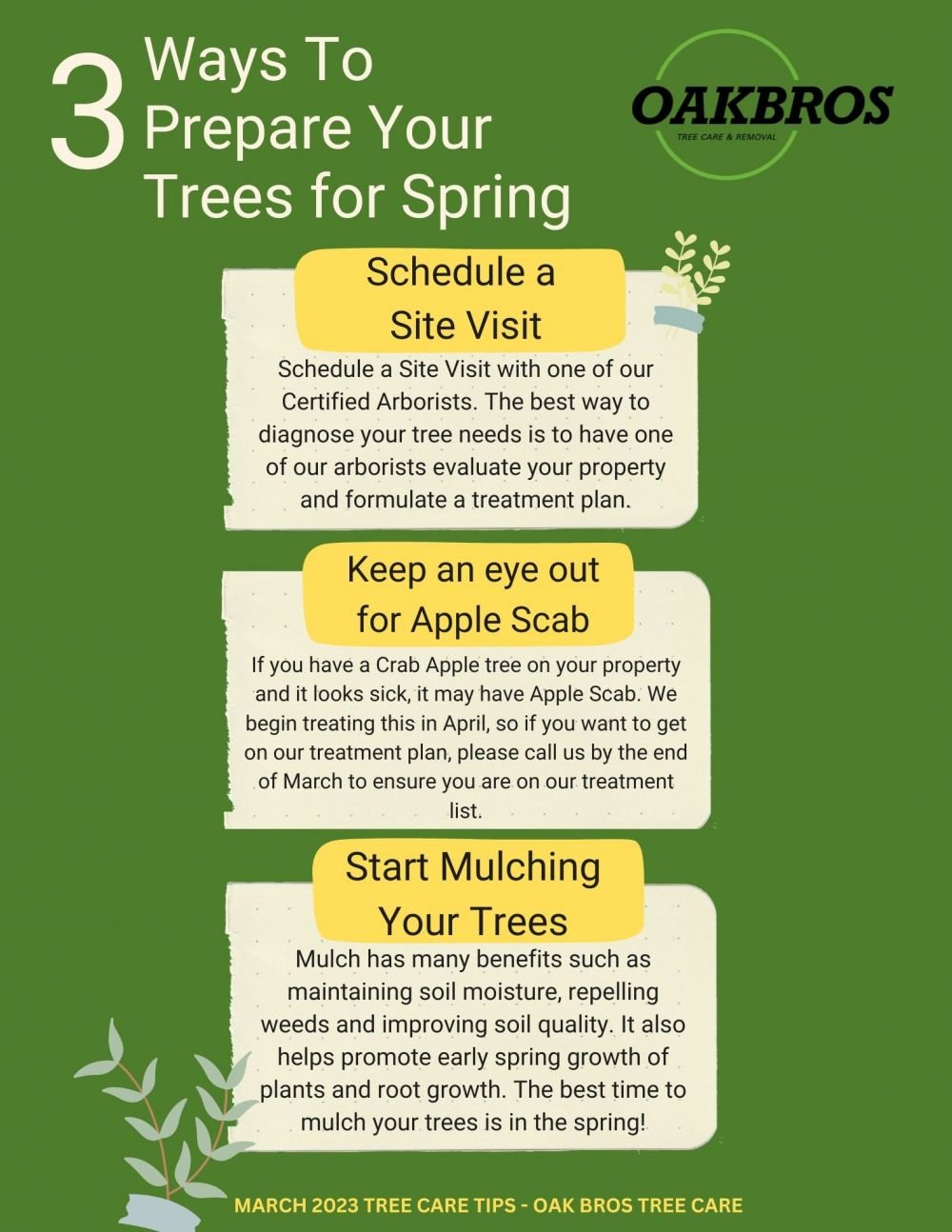 March 2023 tree care tips 8.5 × 11 in